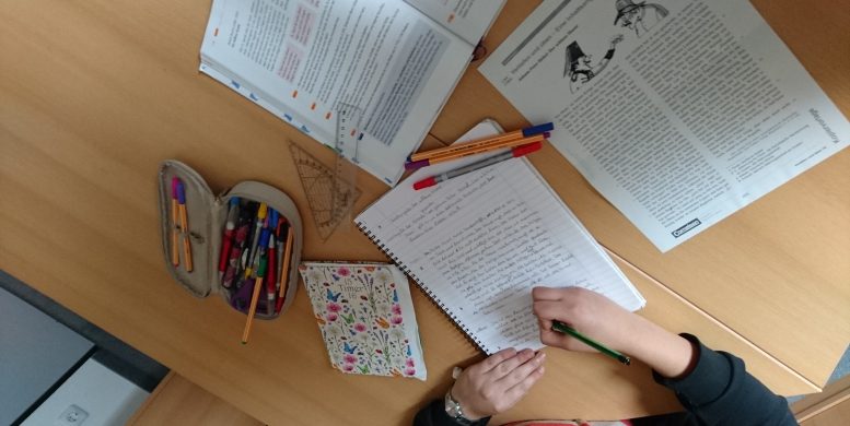 Elenaz sucht Lernpatin